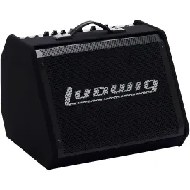 Комбоусилитель для электронных ударных Ludwig LEA100 100W 2-канальный 10" Bluetooth