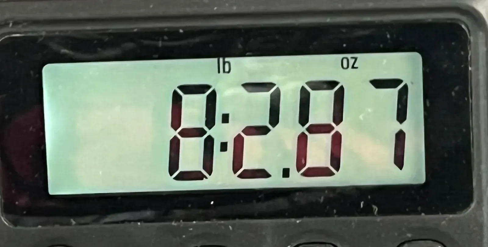 Изображение №10