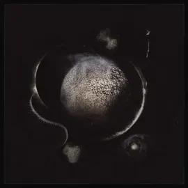 Enthroned - Cold Black Suns NEW Vinyl