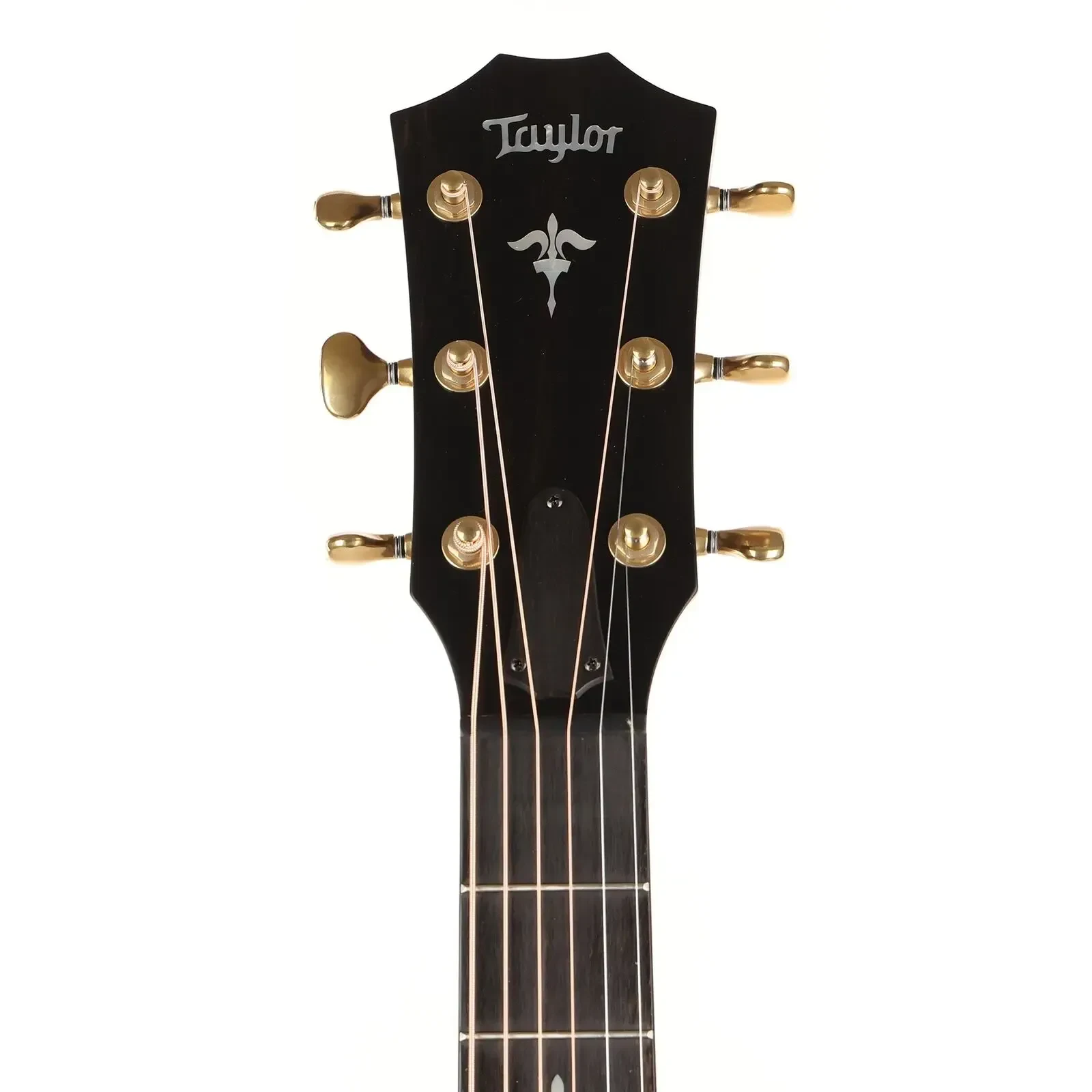 Изображение №5