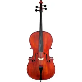 Виолончель Scherl and Roth SR55 Galliard Series Student Cello Outfit 4/4