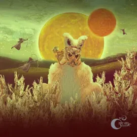 Виниловая пластинка Mr. Gnome – Madness in Miniature (Релиз 2012)