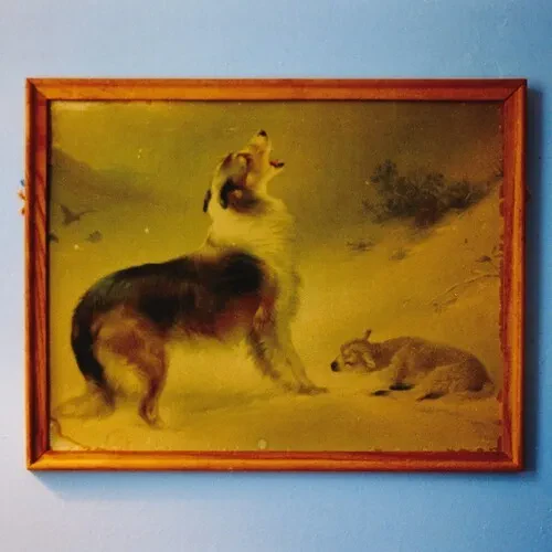 Виниловая пластинка Explosions in the Sky - The Rescue [New Vinyl LP] Orange