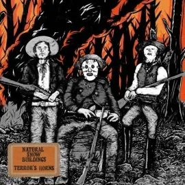 Виниловая пластинка Natural Snow Buildings - Terror's Horns [New Vinyl LP]