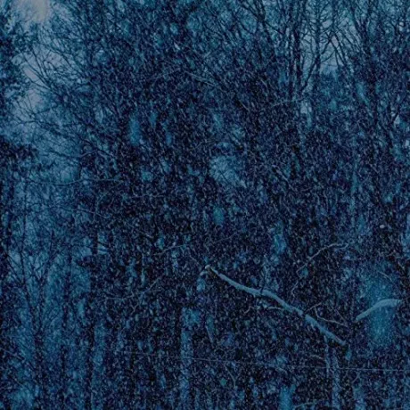 Виниловая пластинка JESU – Never E.P. (LP)