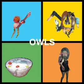 Виниловая пластинка The Owls - Owls [New Vinyl LP]