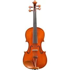 Скрипка Eastman VL200 Andreas Eastman Series Step-Up Violin Outfit 4/4