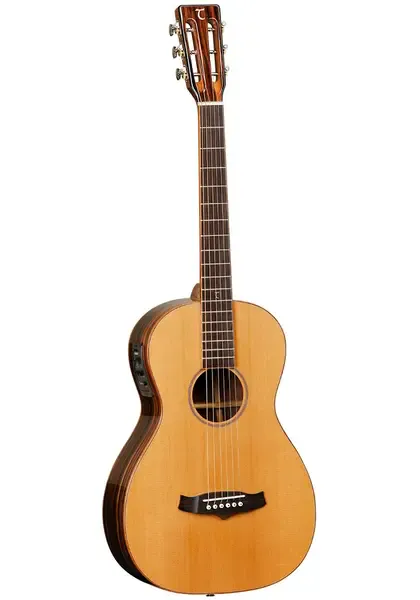 Электроакустическая гитара Tanglewood TWJP E