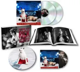 Виниловая пластинка Rick Springfield - Big Hits: Rick Springfield's Greatest Hits, Vol. 2 (Special E
