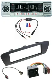 Dietz DAB USB MP3 Bluetooth Autoradio für Renault Scenic (ab 12) - braun