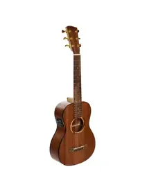 Электроакустическая гитара Poni TR1-3