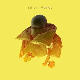 Виниловая пластинка Pos - Chill, Dummy [New Vinyl LP] Explicit, Digital Download
