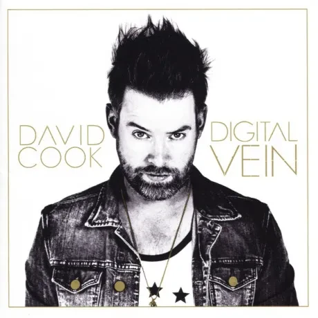 DAVID COOK - Digital Vein (CD)