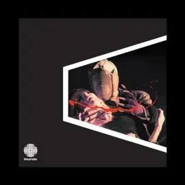Виниловая пластинка Ghostface Killah - Adrian Younge Presents: Twelve Reasons to Die [New Vinyl LP]