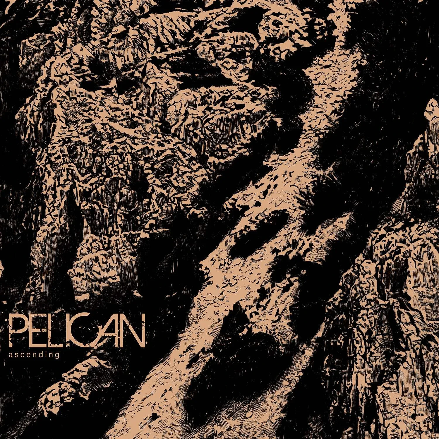 Виниловая пластинка Pelican – Ascending 2026