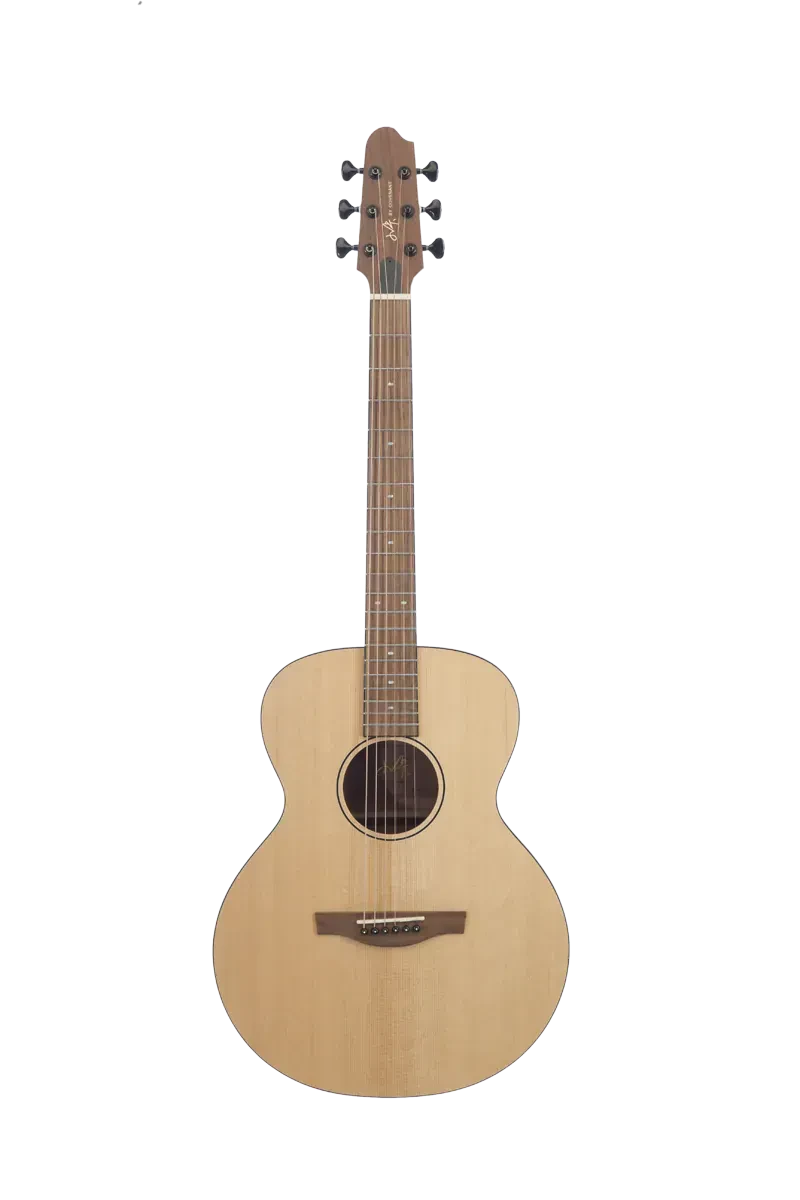 Акустическая гитара Covenant 170R с чехлом