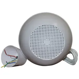 Подвесной сферический громкоговоритель DSSPS-210D