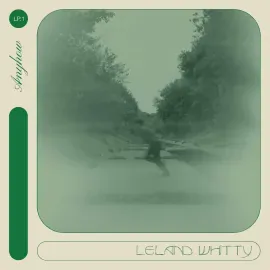 Leland Whitty - Anyhow - NEW Sealed Vinyl LP Album