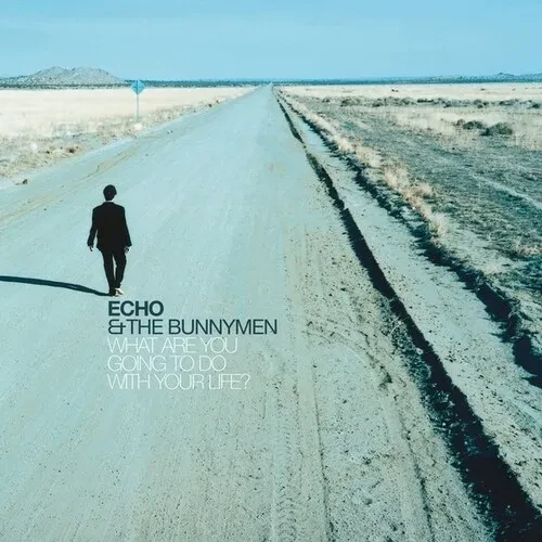 Виниловая пластинка Echo & the Bunnymen - What Are You Going To Do With Your Life: 25th Anniversary