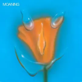 Виниловая пластинка The Moaning - Uneasy Laughter [New Vinyl LP]