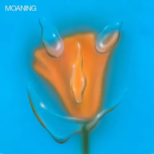 Виниловая пластинка The Moaning - Uneasy Laughter [New Vinyl LP]