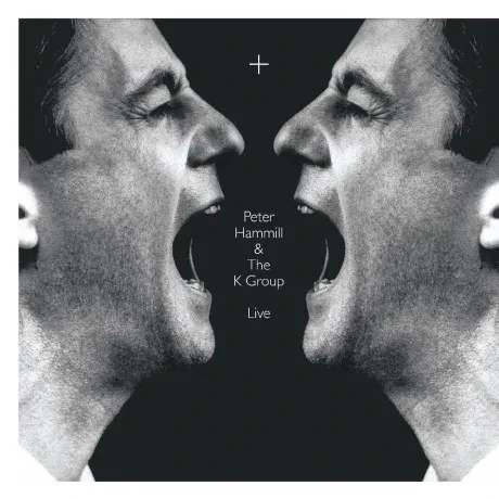 Виниловая пластинка Peter Hammill – + (2LP)