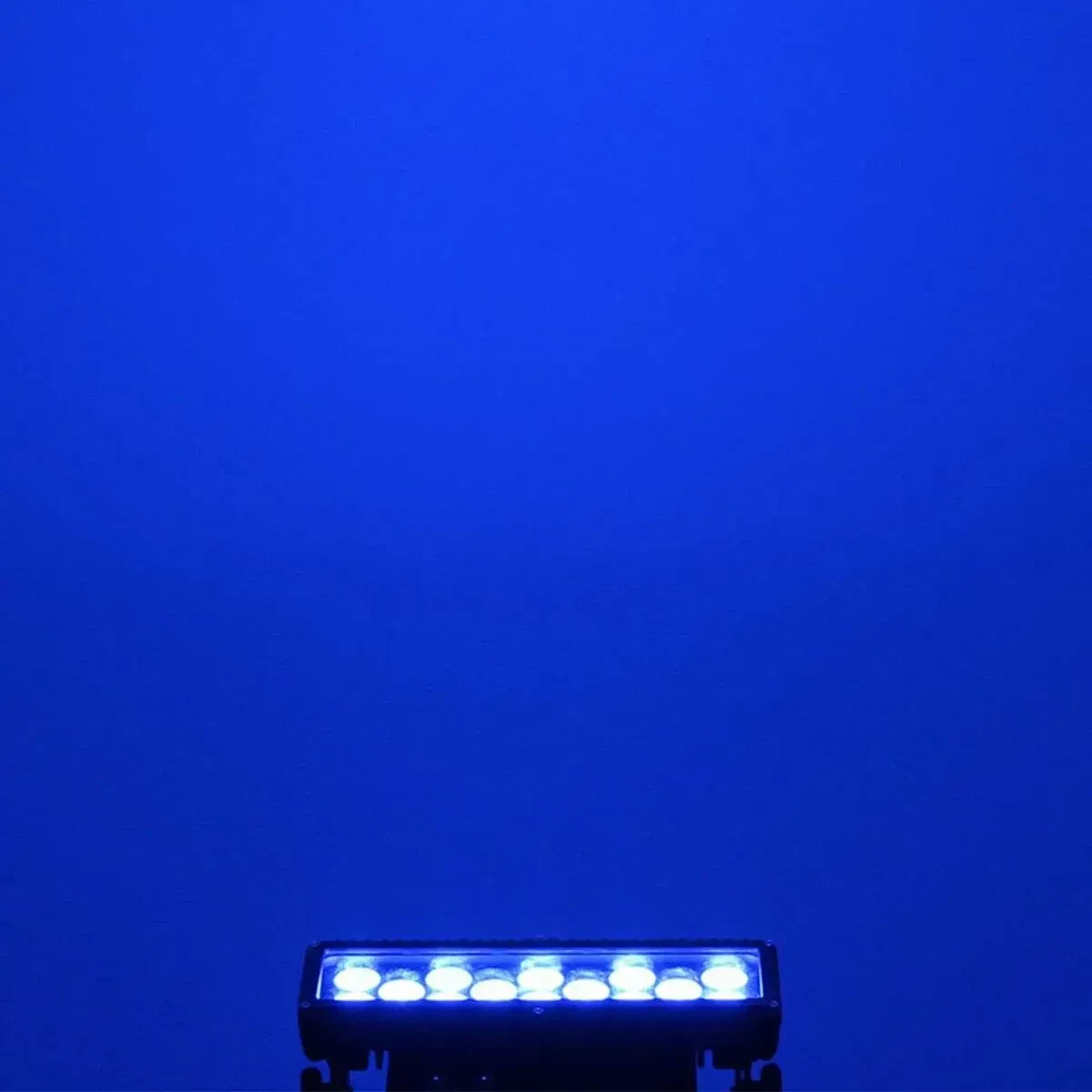 Изображение №12