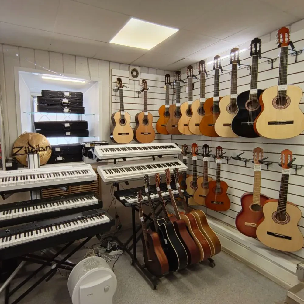 SKIFMUSIC — музыкальный магазин в Коломне