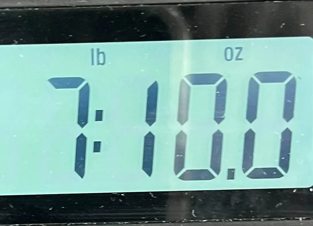 Изображение №10