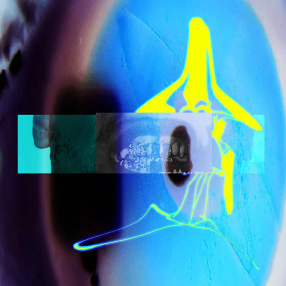ELUCID - I Guess U Had To Be There [Clear Vinyl] NEW Vinyl LP