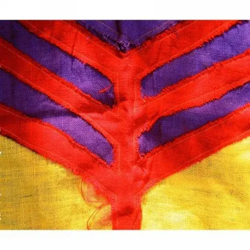 Виниловая пластинка Yeah Yeah Yeahs - Show Your Bones [New Vinyl LP]