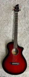 Бас-гитара акустическая Breedlove Pursuit Exotic S Sunset Burst