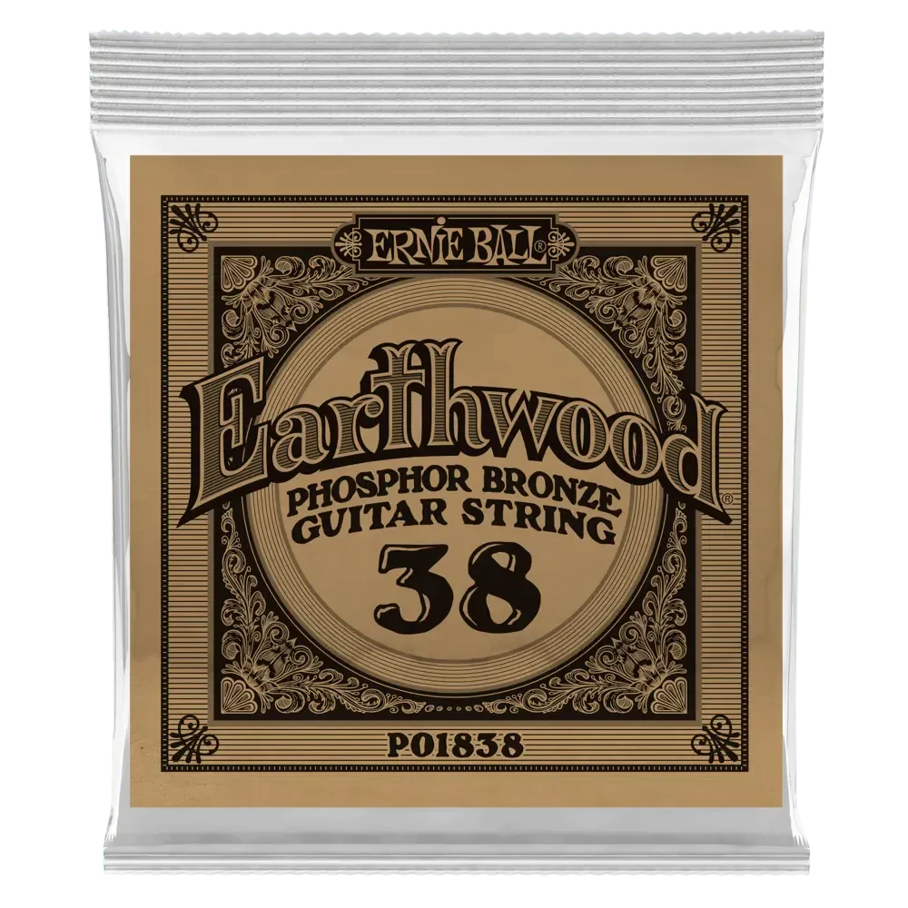 Струна для акустической гитары Ernie Ball P01838 Earthwood, фосфорная бронза, калибр 38