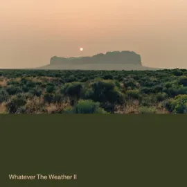 Виниловая пластинка Whatever the Weather – Whatever the Weather II зелёный винил (Релиз 2025)