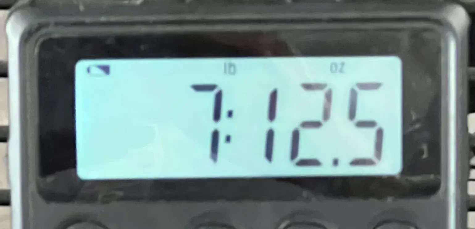 Изображение №9