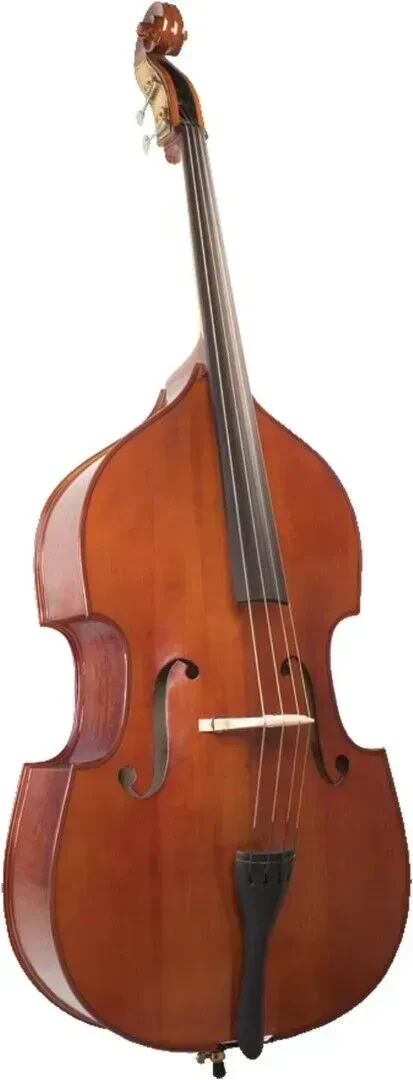 Контрабас Palatino VB-029 Bergamo 3/4, ручной резьбы, с чехлом