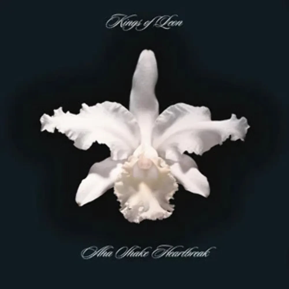 Kings of Leon - Aha Shake Heartbreak NEW Sealed Vinyl LP Album