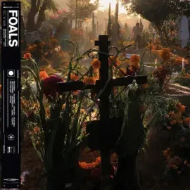 Виниловая пластинка FOALS – Everything Not Saved Will Be Lost: Part 2