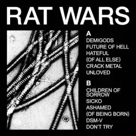 Виниловая пластинка HEALTH – Rat Wars Релиз 2024