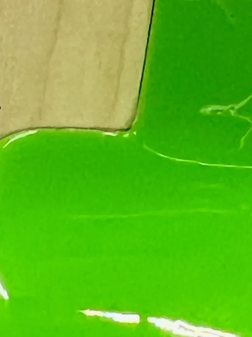 Изображение №6