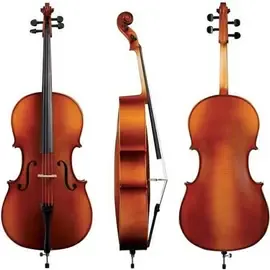 Виолончель GEWApure Cello Outfit EW 1/4
