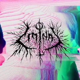Виниловая пластинка Petbrick – Liminal 2022