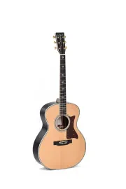 SIGMA SGR-41 Custom Gitarre (Showroom)