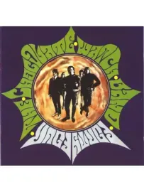 THE CHOCOLATE WATCHBAND - 44 (CD)