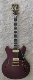 D'Angelico DADDCSTWGS 6 String RH Elec Hollowbody Guitar Satin Trans Wine Finish