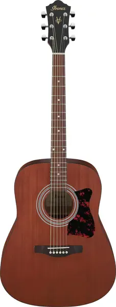 Акустическая гитара Ibanez V54NJP-OPN в наборе