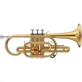 Корнет Stagg WS-CR215 Series Student Bb Cornet Clear Lacquer