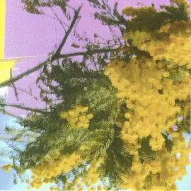 Виниловая пластинка Four Tet – Into Dust (Still Falling) (Релиз 2025)