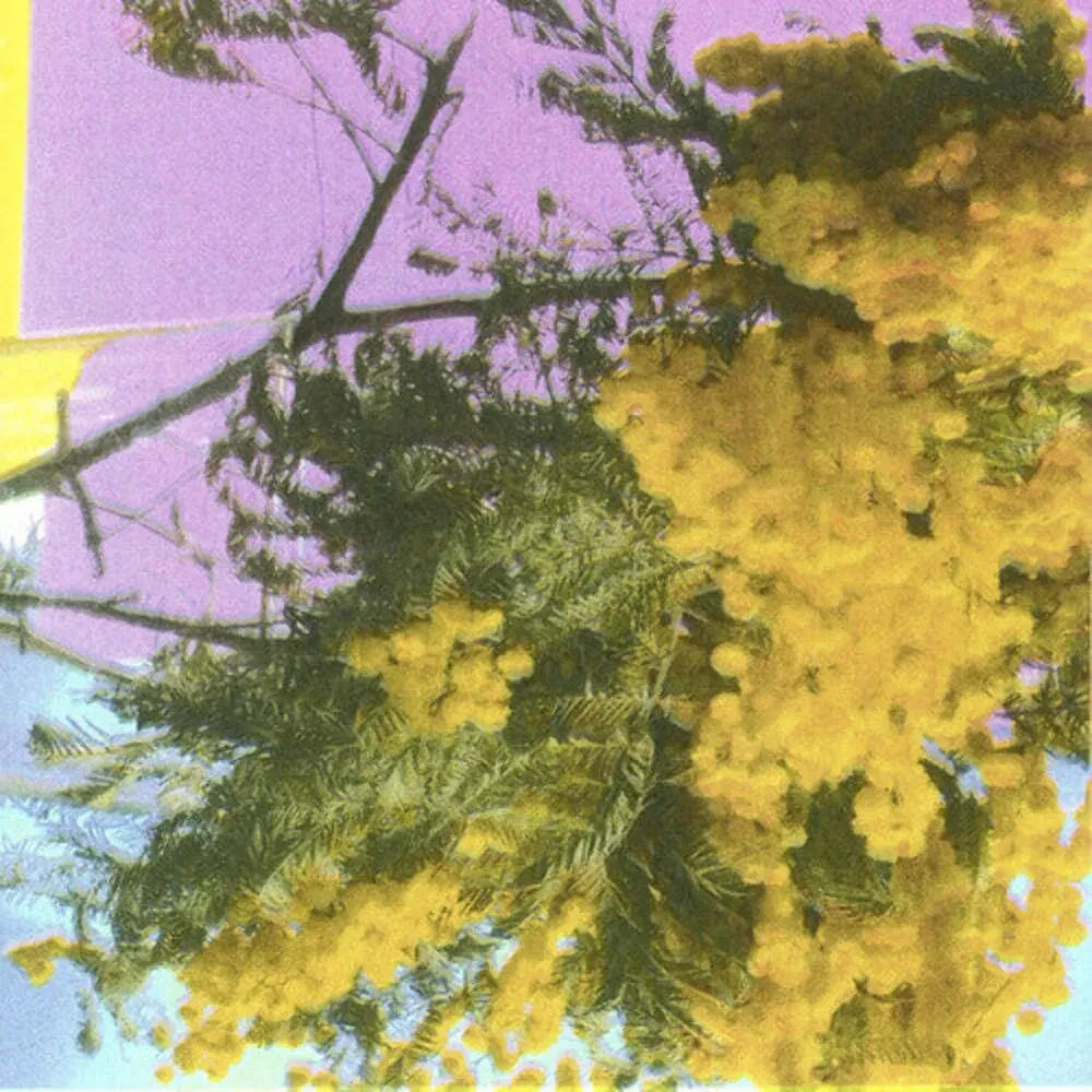 Виниловая пластинка Four Tet – Into Dust (Still Falling) (Релиз 2025)