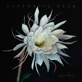 Виниловая пластинка Heather Maloney – Exploding Star (Релиз 2025)
